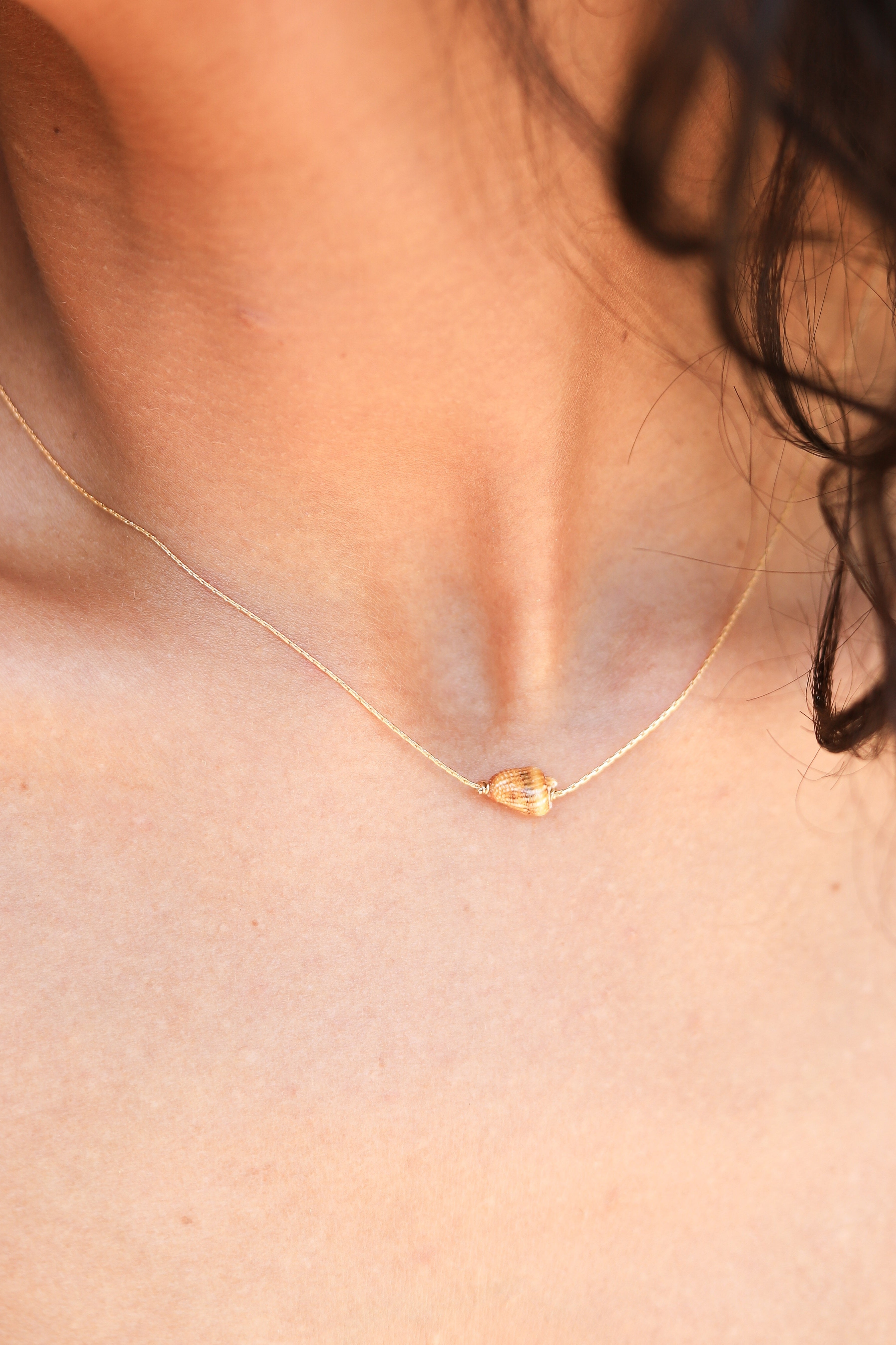 Seashell Itty Bitty Necklace