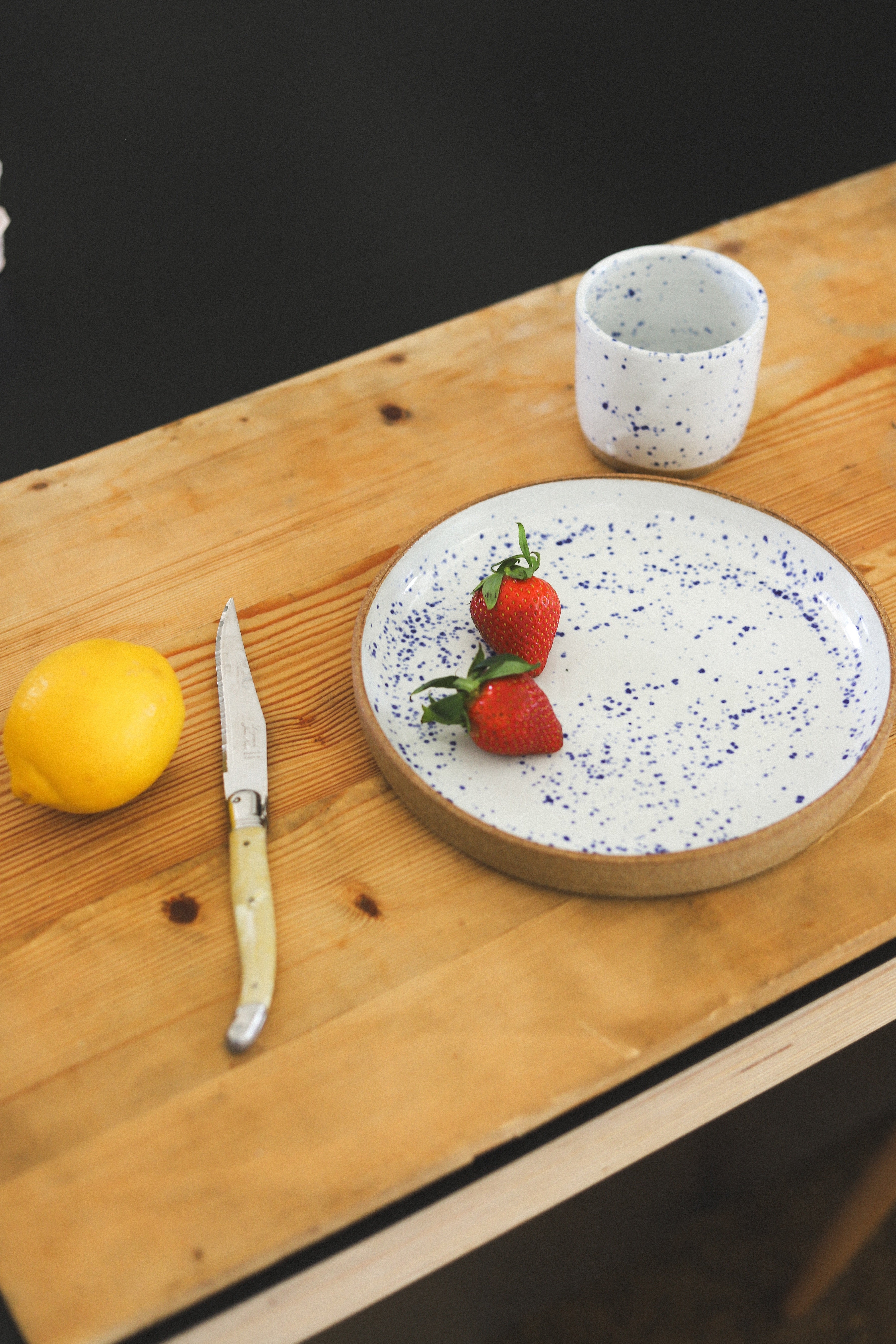 Blue Speckled Plate