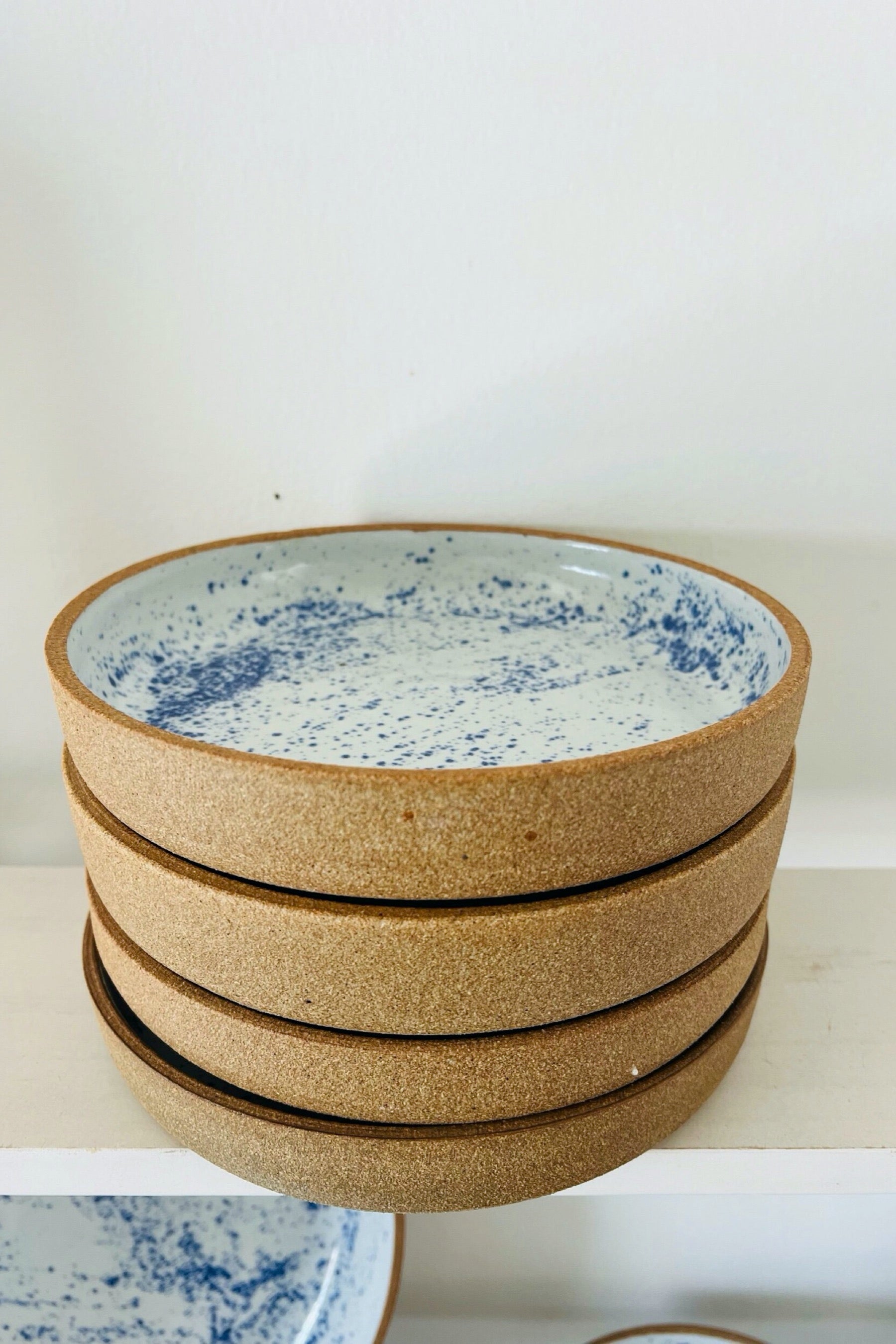 Blue Speckled Plate