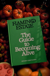 The Guide To Becoming Alive