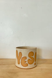 Damaged Cream Pot Of Yes