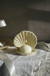 Venus Seashell