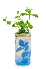 Mint Garden Jar