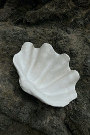 Venus Hand Sculpted Shell Bowl