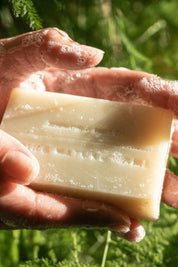 Big Sur Bar Soap