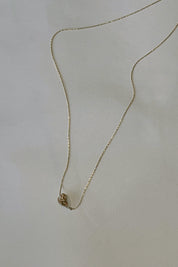 Seashell Itty Bitty Necklace