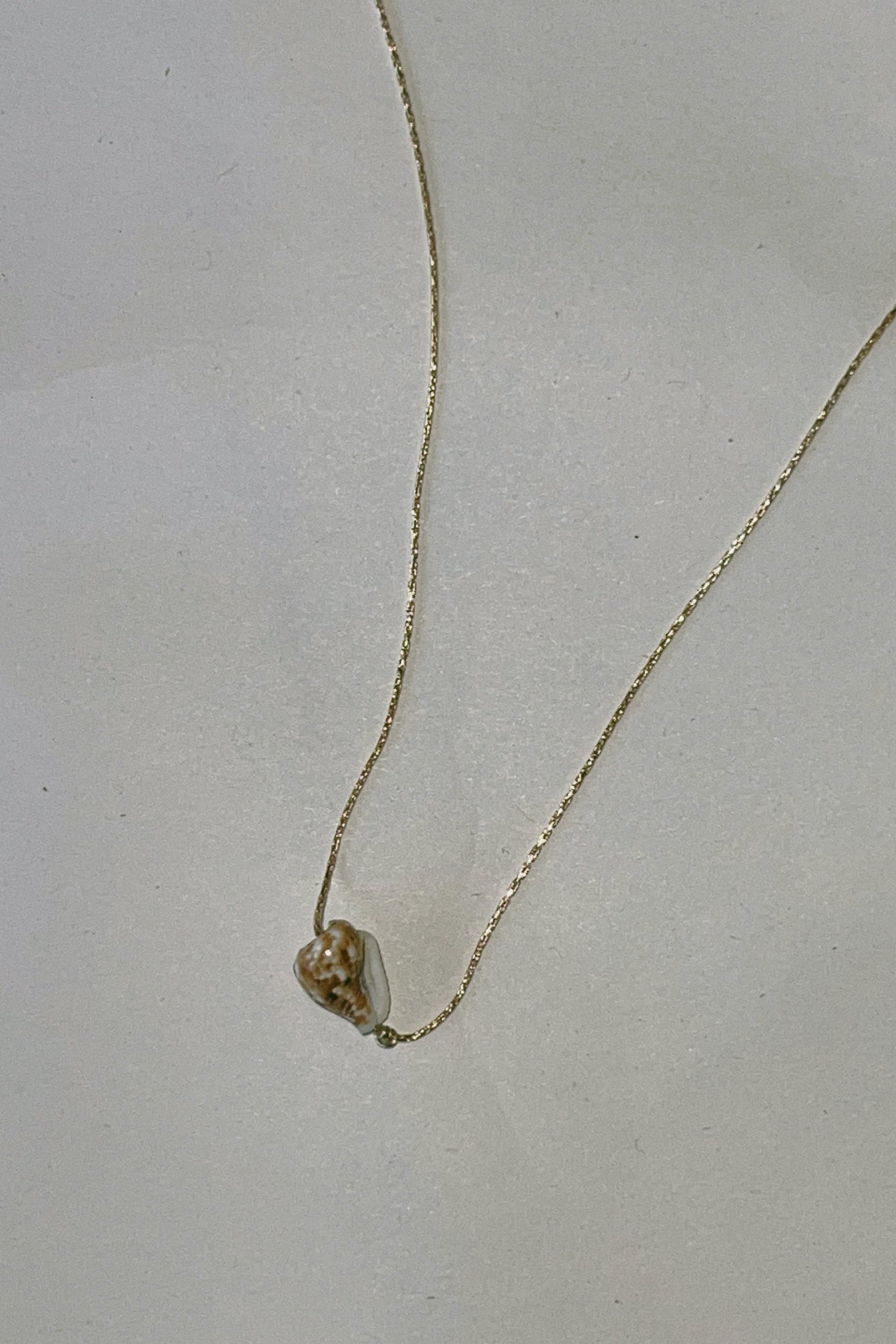 Seashell Itty Bitty Necklace